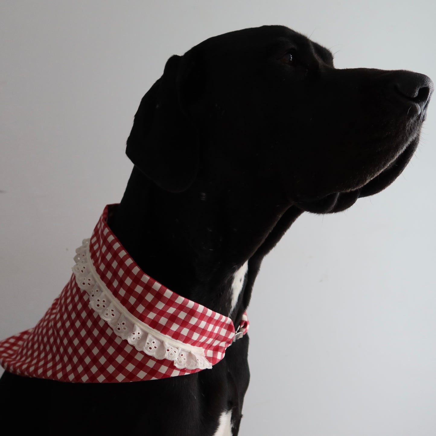 Red Gingham Bandana